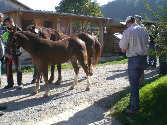CIMG2008.JPG