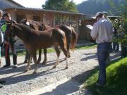 CIMG2008.JPG
