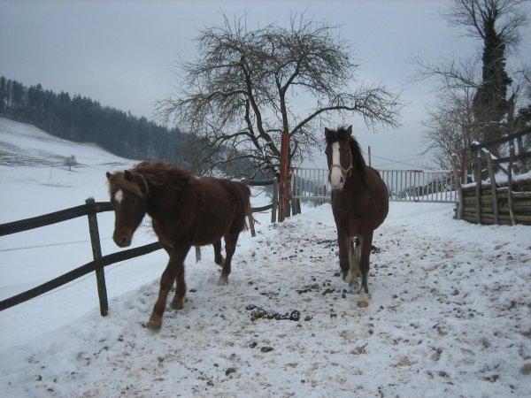 Januar 09 - Die Neuen