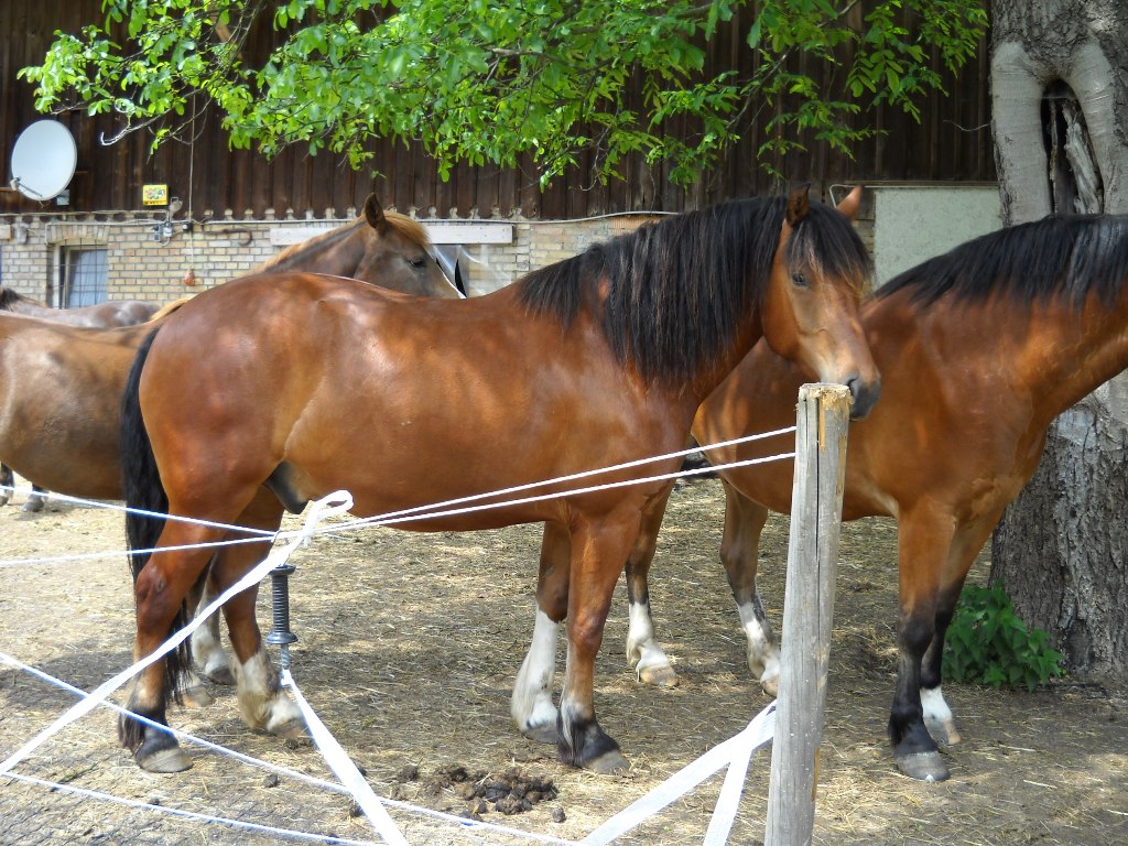 DSCN0209.jpg