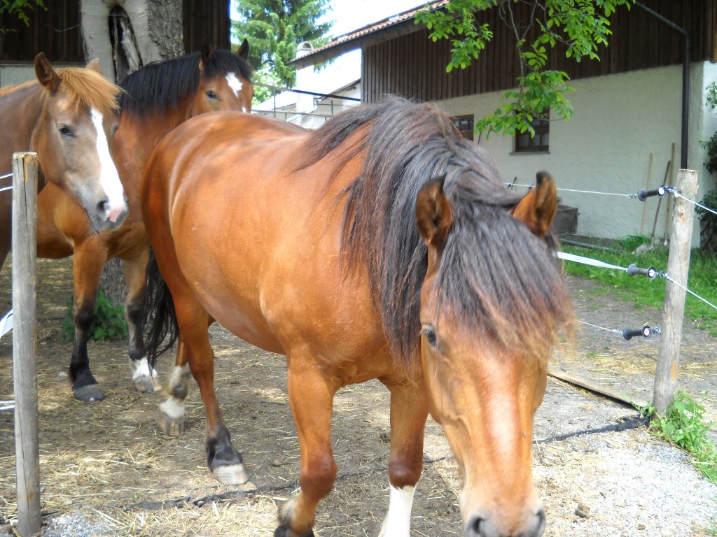 DSCN0214.jpg