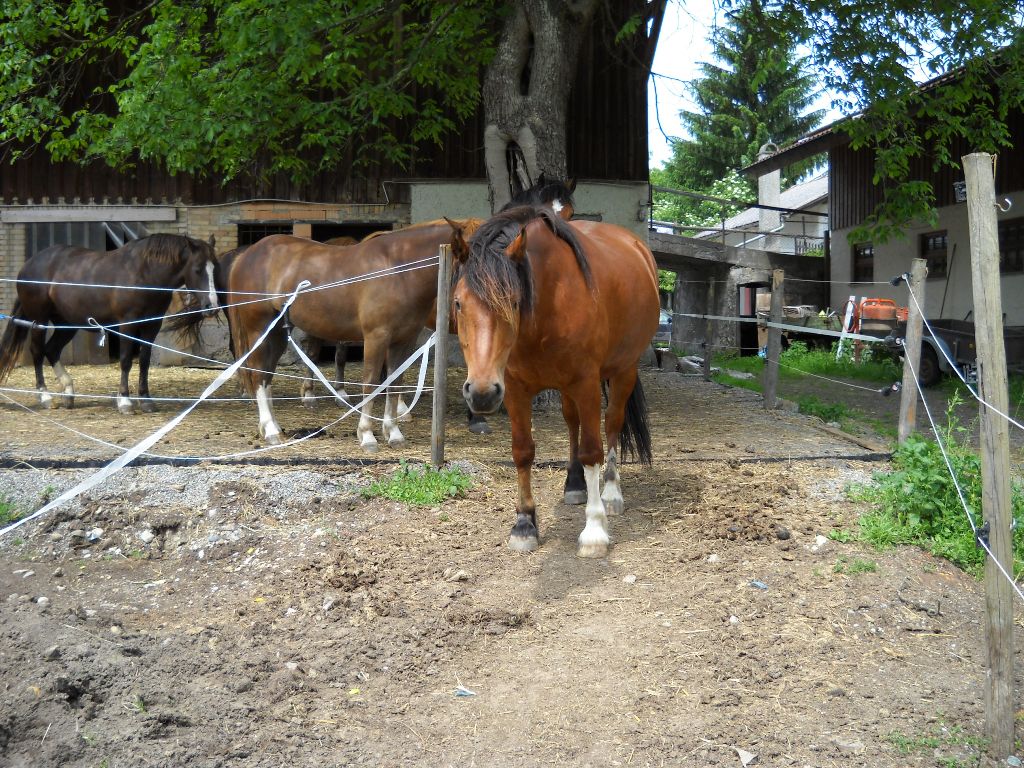 DSCN0215.jpg