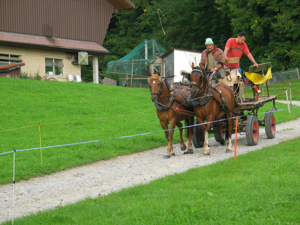 IMG_2228.JPG