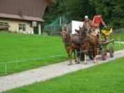 IMG_2228.JPG