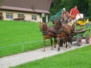 IMG_2229.JPG
